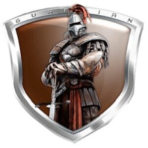 Guardian Detective Agency